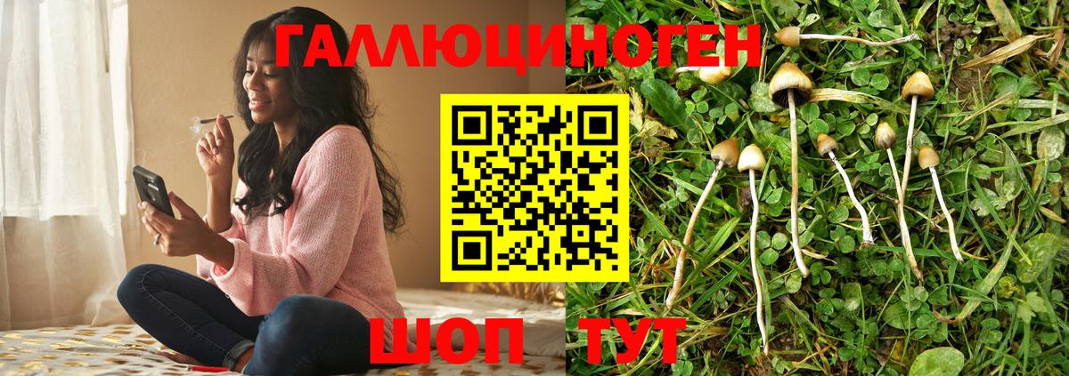Псилоцибиновые грибы MAGIC MUSHROOMS  Псилоцибиновые грибы Cubensis  Кумертау  Вход с VPN 